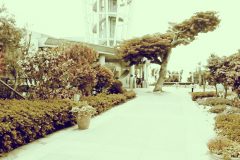 公園,町,曇り,屋外