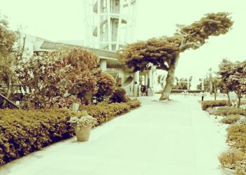 公園,町,曇り,屋外,昭和レトロ