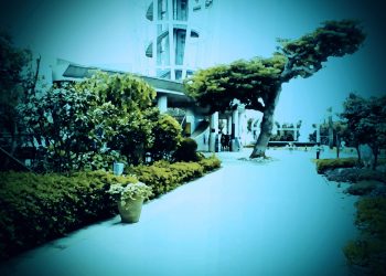 公園,町,曇り,屋外,ホラー