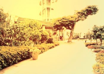 公園,町,曇り,屋外,ヴィンテージ
