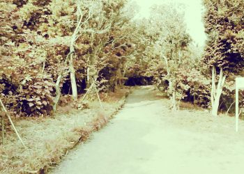 公園,町,晴れ,屋外,昭和レトロ