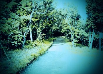 公園,町,晴れ,屋外,ホラー