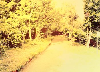 公園,町,晴れ,屋外,ヴィンテージ