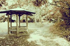 公園,町,晴れ,屋外