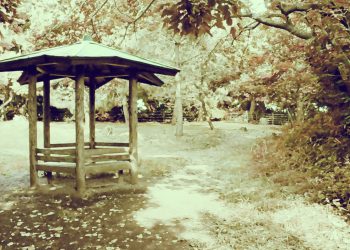 公園,町,晴れ,屋外,昭和レトロ