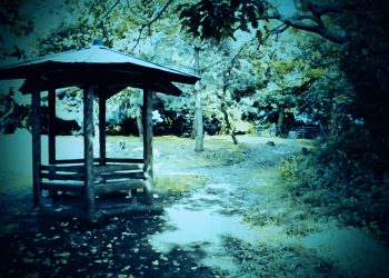 公園,町,晴れ,屋外,ホラー