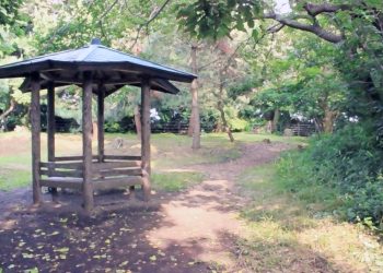 公園,町,晴れ,屋外