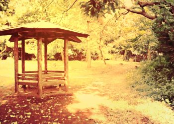 公園,町,晴れ,屋外,ヴィンテージ