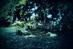 公園,町,晴れ,屋外