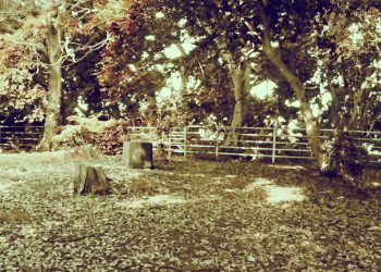 公園,町,晴れ,屋外,昭和レトロ