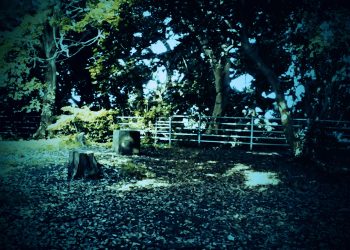 公園,町,晴れ,屋外,ホラー