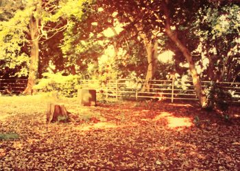 公園,町,晴れ,屋外,ヴィンテージ