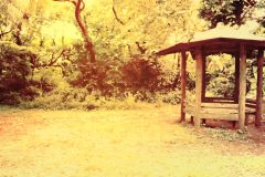 公園,町,曇り,屋外