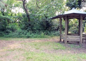 公園,町,曇り,屋外