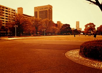 公園,都市,屋外,冬,曇り,ヴィンテージ