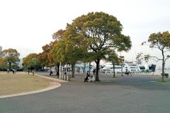 港,都市,公園,屋外,秋,曇り