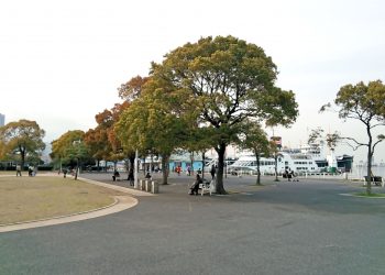 港,都市,公園,屋外,秋,曇り