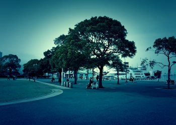 港,都市,公園,屋外,秋,曇り,ホラー