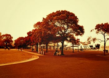 港,都市,公園,屋外,秋,曇り,ヴィンテージ