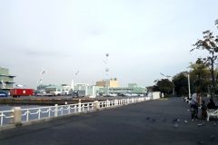港,都市,公園,屋外,秋,曇り