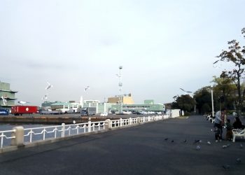 港,都市,公園,屋外,秋,曇り