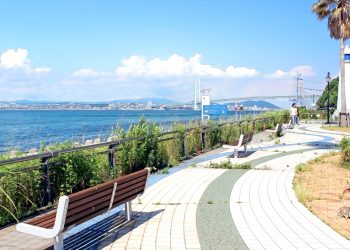 都市,港,港町,夏,屋外,晴れ