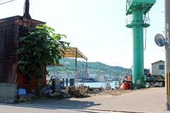 町,港,港町,夏,屋外,晴れ