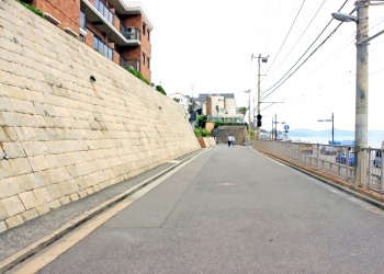 港,町,屋外,夏,曇り