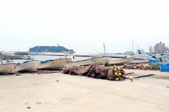 港,町,夏,屋外,曇り