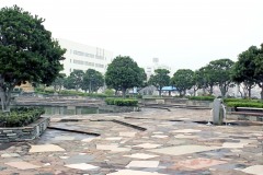 公園,町,屋外,夏