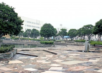 公園,町,屋外,夏