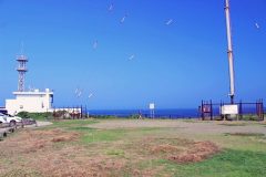 港,町,屋外,夏,晴れ