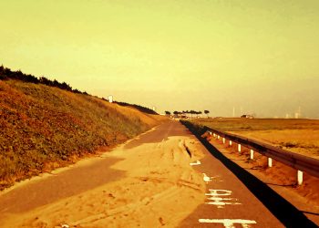 道路,浜辺,晴れ,夏,屋外,ヴィンテージ
