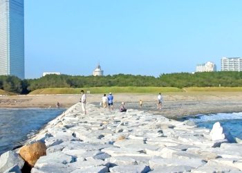 浜辺,晴れ,夏,屋外