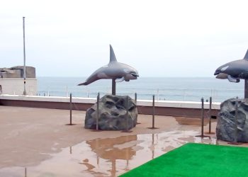 建物前,浜辺,晴れ,夏,屋外