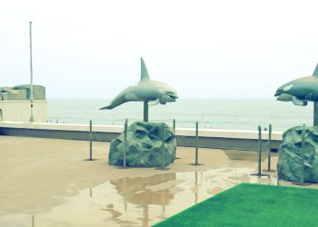 建物前,浜辺,晴れ,夏,屋外,昭和レトロ