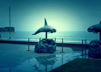 建物前,浜辺,晴れ,夏,屋外,ホラー