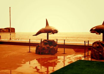 建物前,浜辺,晴れ,夏,屋外,ヴィンテージ