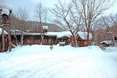 日本家屋,村,和,屋外,冬,雪