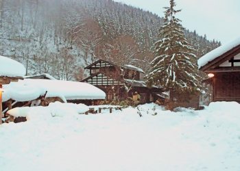 日本家屋,村,和,屋外,冬,雪