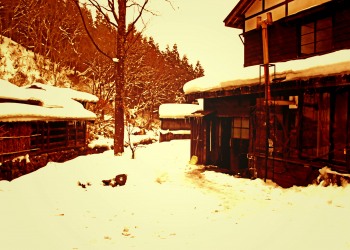 日本家屋,村,冬,屋外,雪,ヴィンテージ