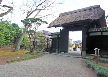 日本庭園,和,屋外,春,曇り