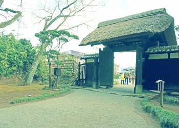 日本庭園,和,屋外,春,曇り,昭和レトロ