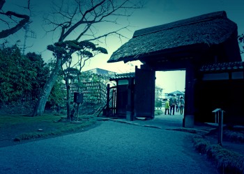 日本庭園,和,屋外,春,曇り,ホラー