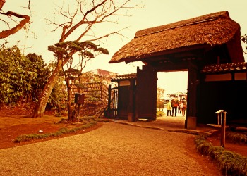 日本庭園,和,屋外,春,曇り,ヴィンテージ