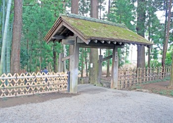 日本庭園,和,屋外,春,曇り