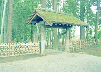 日本庭園,和,屋外,春,曇り,昭和レトロ