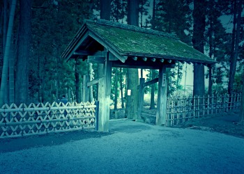 日本庭園,和,屋外,春,曇り,ホラー