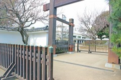 日本庭園,和,屋外,春,曇り