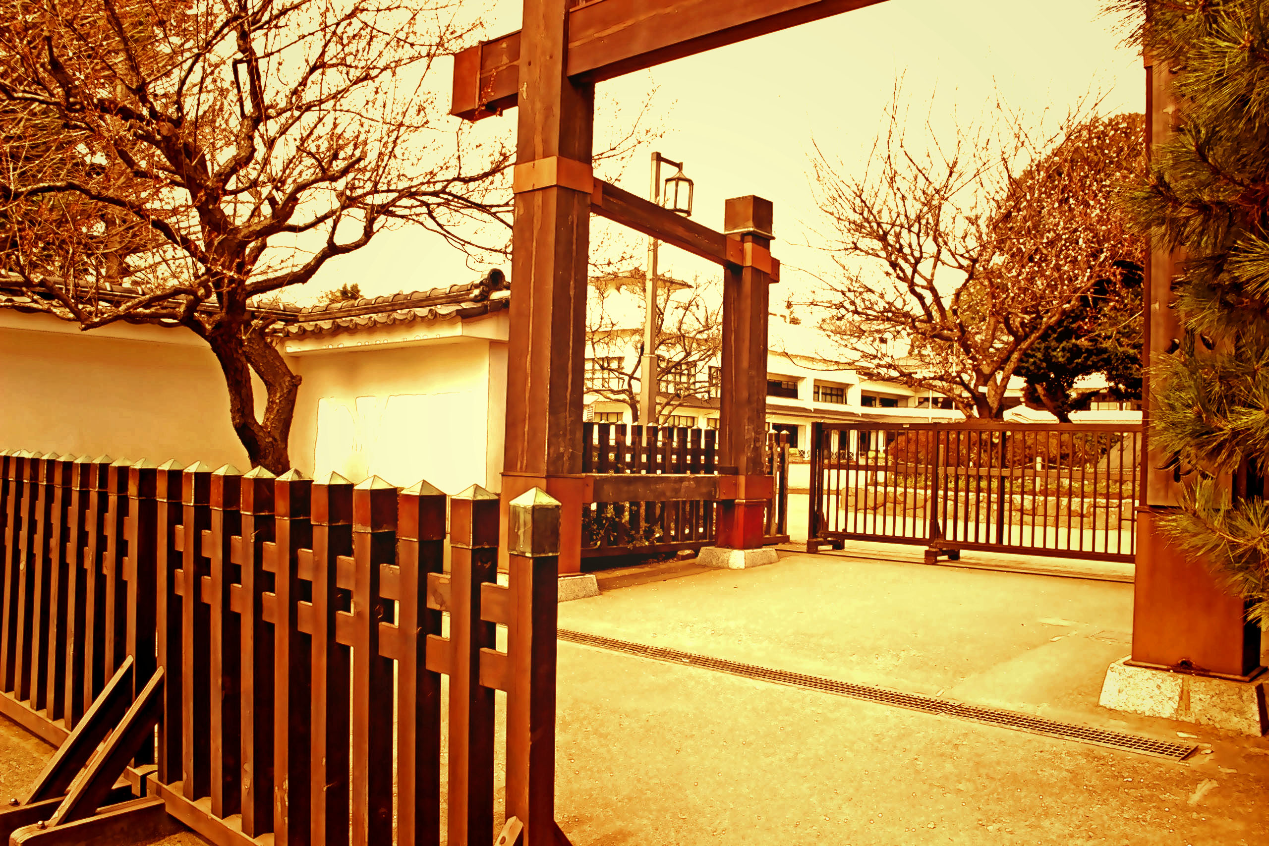 日本庭園,和,屋外,春,曇り,ヴィンテージ